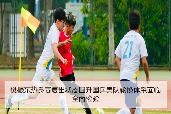 樊振东热身赛复出状态回升国乒男队轮换体系面临全面检验